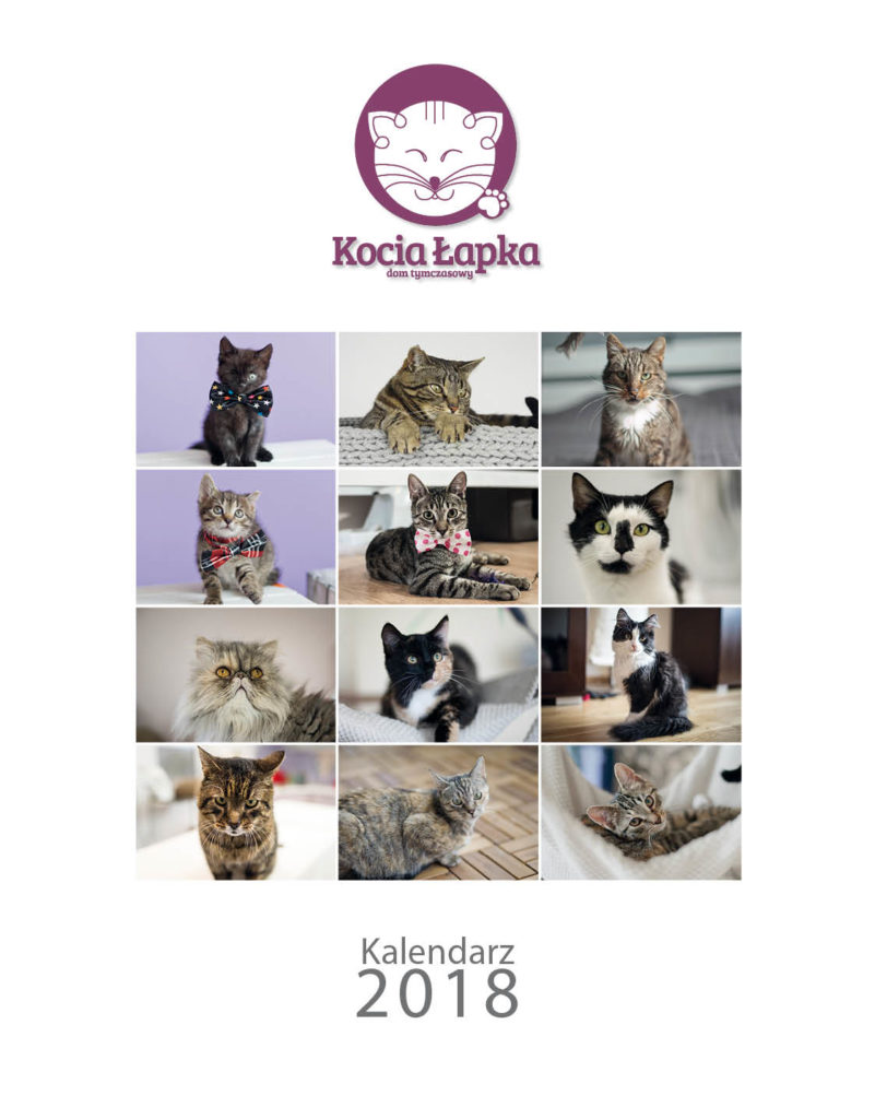 Charytatywny kalendarz DT Kocia Łapka 2018 już w przedsprzedaży!
