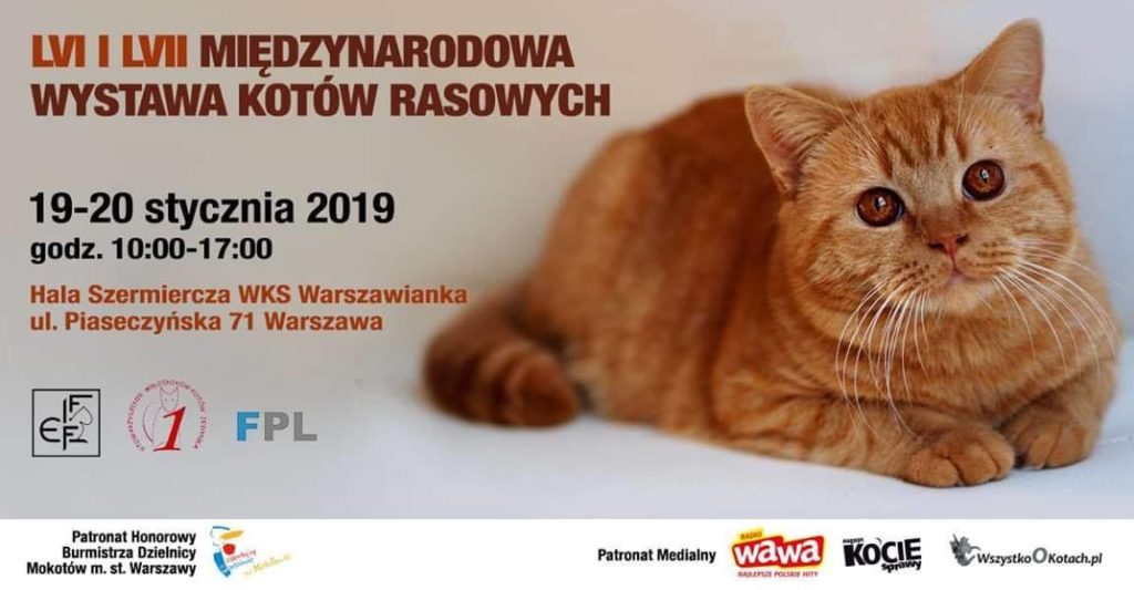 Międzynarodowa Wystawa Kotów Rasowych (+ targi zoologiczne) 19 i 20.01.2019 w Hali Szermierczej