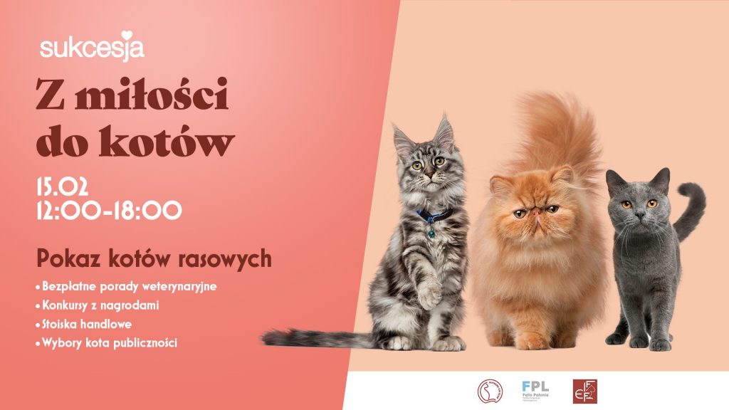 Kocia Łapka w Łodzi – 15.02.2020 – na stoisku drapacze.pl