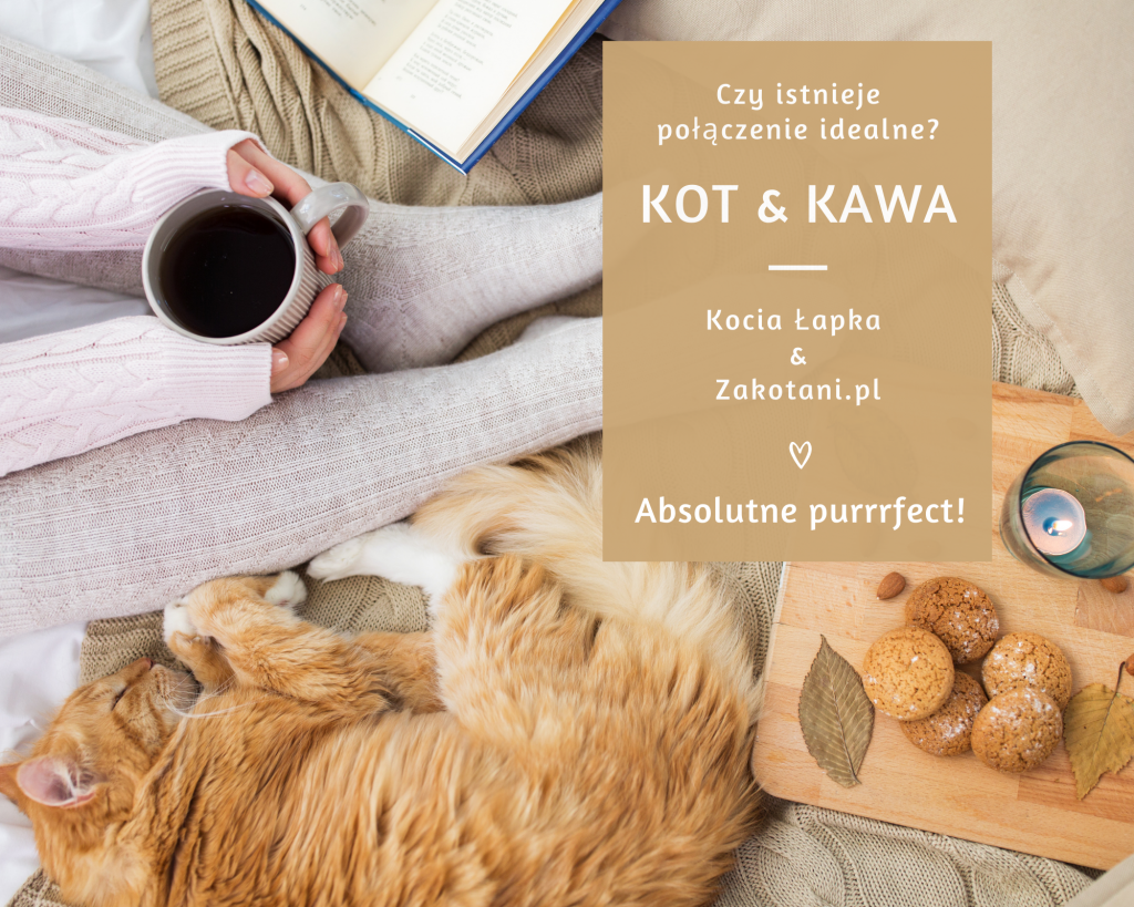 Czy istnieje połączenie idealne? Kot i kawa! Absolutnie purrrfect!